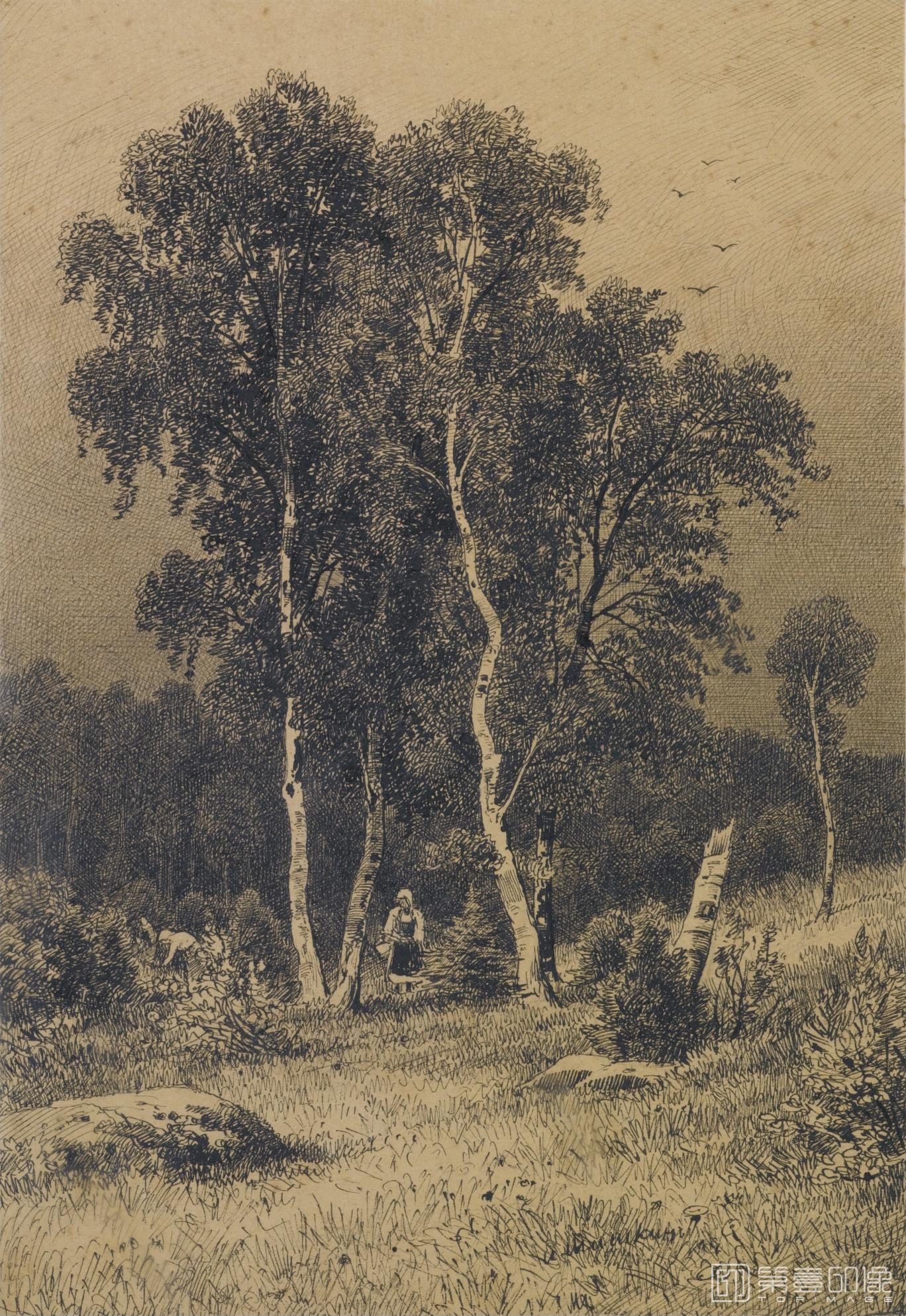 油画-伊凡·伊凡诺维奇·希施金 Ivan Shishkin作品集-87